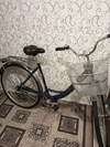 изображение из отзыва STELS Pilot 710 24