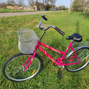 фото Stels Navigator 200 Lady 26' Z010 | покупатели 100bike